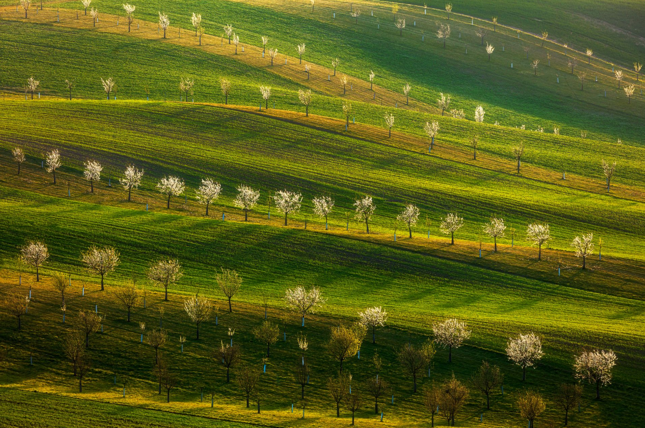 Vicepremiér a ministr průmyslu a obchodu Karel Havlíček veze do USA české firmy