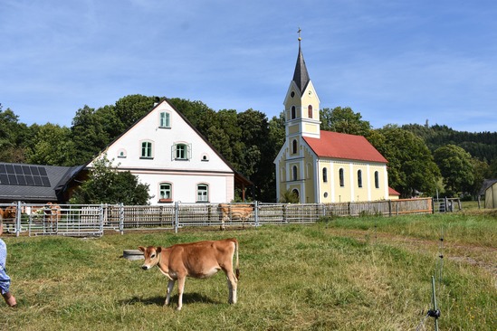 Pardubický kraj_Farma Heřmanice