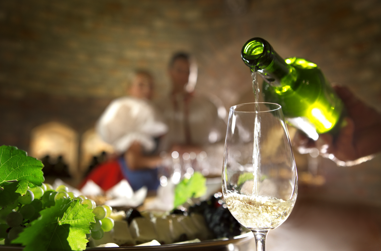 The world's leading wine experts are heading to Moravia and Bohemia. They will assess the potential of our wines.