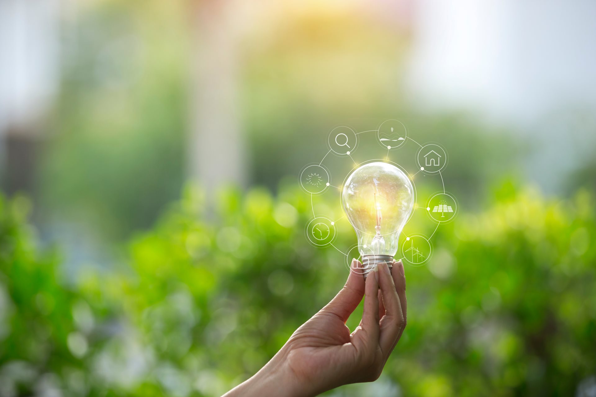 Sustainability Hub for Events (SHE)