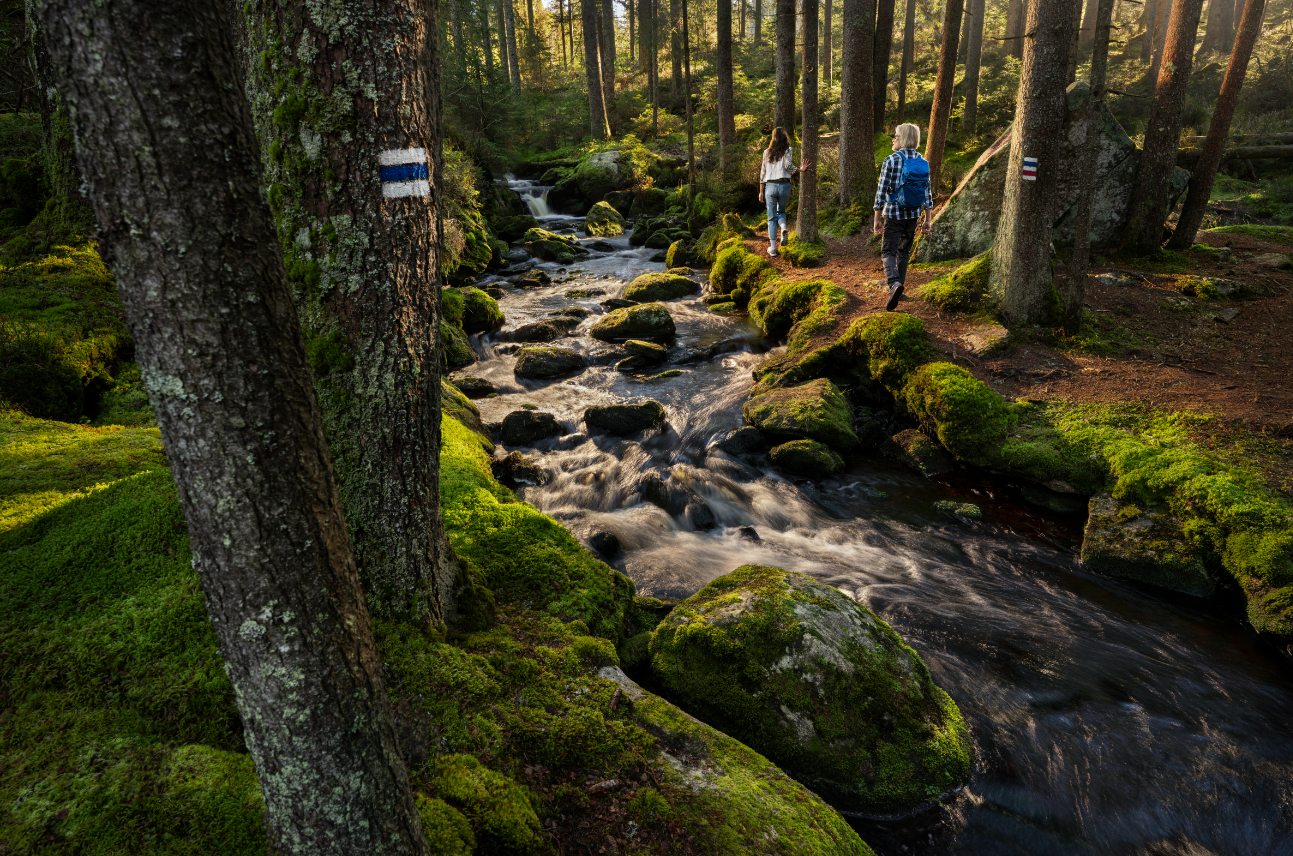 CzechTourism launches global campaign Feel free. It will present Czechia to the world as a country of well-being, freedom and authentic experiences
