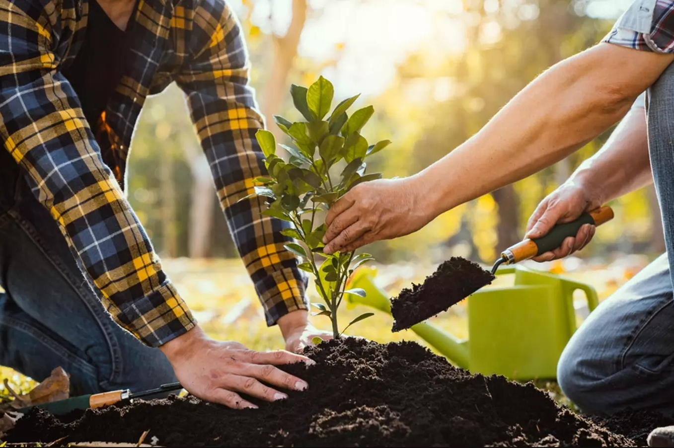 World Environment Day this year brings the theme of land restoration, desertification and drought resilience